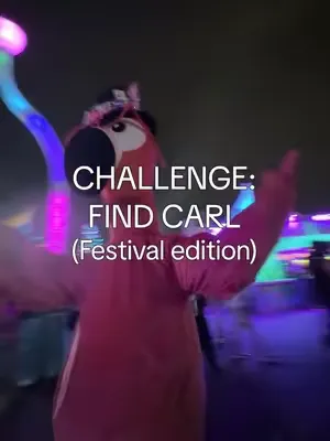Be honest… did you get 3/3? 🦩👀 #festival #festivalseason #beyond #beyondwonderland #goodr 
