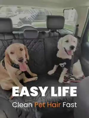 Pet hair struggles gone 🐶 Powerful suction erases stubborn fur fast. Effortless pet-friendly clean. ————————————————————— Fini les poils d’animaux 🐶 Aspiration puissante contre les poils tenaces. Nett