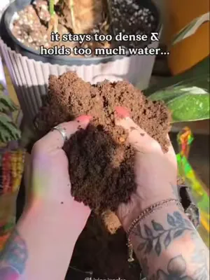 Why Your Soil Is Killing Your Plants 🌱 This creates a light, airy mix where roots can actually breathe — and your plants will show the difference 💚 . Click the link in my BIO.. #Sybotanica #planttok #