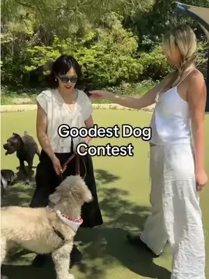 We took it to the dog park to find the goodest boys and girls to win our Floof Pet Beds! 🐾