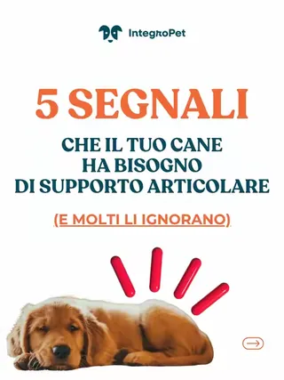 #cane #integropet #integratorinaturali #ossaearticolazioni 
