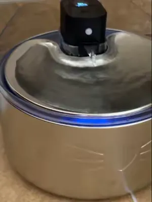 Your cat’s hydration routine just got a serious upgrade… the Catit PIXI Cordless XL Stainless Steel Fountain has officially arrived, and it’s a total game‑changer 💦 ✅ Cordless freedom   ✅ XL capacity 