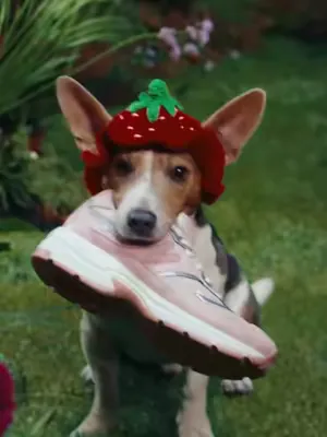 FROM PLANTS WITH LOVE. C’EST LE NOM DE NOTRE PREMIÈRE COLLECTION CAPSULE.  La collection capsule @La Vie™️ x MOEA, c’est le drop le plus iconique et exclusif de 2026. Une preuve que le végétal n’est p