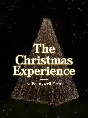 Our Pennywell Christmas Experience starts TODAY!! Who’s excited?!? 🎄🎅🏼 #christmas #christmastiktok #thingstodothischristmas #thingstodoindevon #wintervibes #farmlife #pennywellfarm 