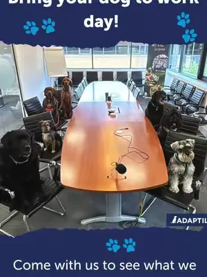 🐶💼 Happy Take Your Dog to Work Day! 💼🐶 From meeting greeters to morale boosters, our canine coworkers know how to keep the team smiling. 🐾 Whether they’re supervising from under your desk, making the 
