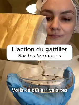 Cycles en vrac, fatigue, sautes d'humeur ? Fais l'analyse hormonale gratuite. Résultats en 3 min.