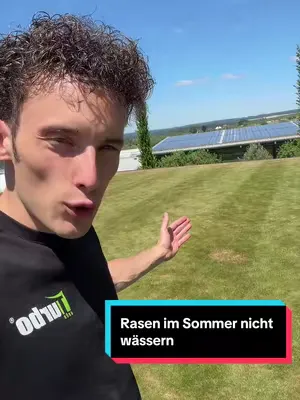 Rasen 🌱 im Sommer nicht wässern💦? #rasen