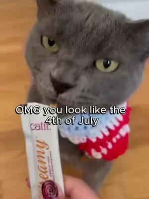 🦅Happy 4th of July and stay cool 🥵! Enjoy a Catit Creamy for extra hydration or try freezing it for a frozen Creamy Treat 🧊 #catitusa #4thofjuly #catitcreamy #cattreat