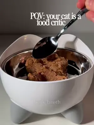POV: your cat is a food critic! ⭐️ Catit Recipes = Elevated mealtime at a budget friendly price.   #CatitRecipes #catsoftiktok #catfood #cats #foryoupage