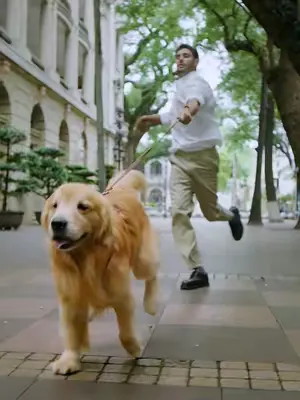 Who’s walking who now? 🐶  Wearing the New Hypershell X series with its 1000W power core assistance and 30km range on a single charge—I’ve still got miles in me. You? 🔗 Link in Bio to Pre-Order! 🗓 Offi