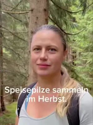 Jetzt ist Pilz-Sammelzeit! Welcher Pilz ist dein Favorit? Schreib's in die Kommentare!