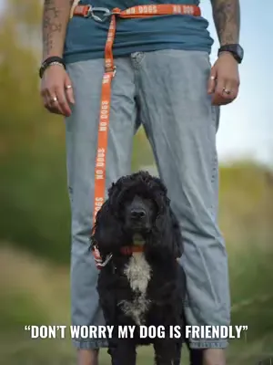 How many times have we heard this… 😬 #dog #dogs #doglead 