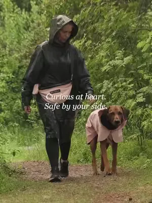 When they need us the most, we are by their side. Always. #PAIKKA #dogsoftiktok #dogtok
