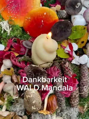 Ein Moment der Dankbarkeit im Wald: Farben, Formen, Stille. Sammle, atme, verbinde dich mit Natur.