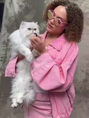 All the cats accept apologies in form of snacks. 🐈