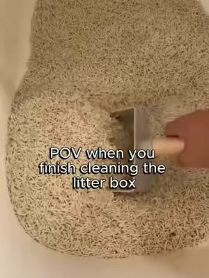 🤔It seems cats always know when you just cleaned the litter box, now it's time for them to do their business 🚽 🐾With our Go Natural Pea Husk litter, you won't smell their business or find litter all a