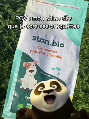 Je pense que ca se passe vraiment comme ça dans sa tête !! 🤣🤣🤣🤌 #stanbio #dogfood #dog #chien #conseilchien 
