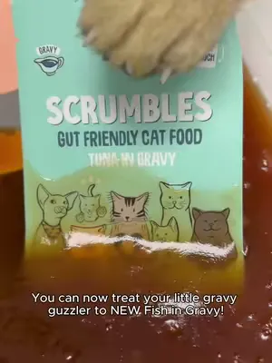 AI is getting so realistic these days isn't it? 😅 NEW wet cat food with 3 irresistible new fish flavours in a rich & succulent gravy now available 🤤 - #scrumbles #cats #catfood #catsoftiktok #funnycat