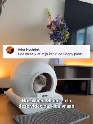 Momo reviewt zijn kattenbak! #getpoopy