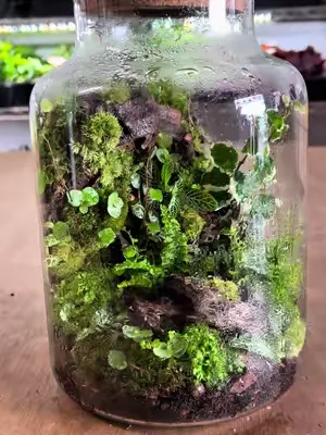 A beautiful result… if I do say so myself 