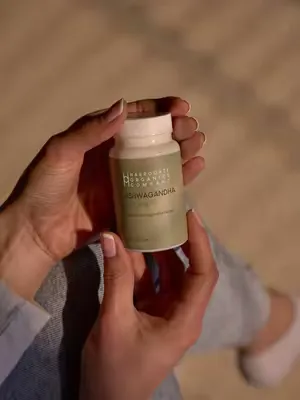 Ashwagandha may be trending, but its story goes back centuries.   Used in Ayurveda as part of traditional wellbeing rituals, this powerful root has become a modern essential for those looking to feel 