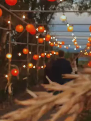 Want the perfect autumnal October evening? Look no further! 🍂🍁🎃 BOOK NOW for our brand new Pumpkin Nights at Pennywell!  #pennywellfarm #pumpkin #pumpkinseason #pumpkins #pumpkinpatch #autumn #autumnv