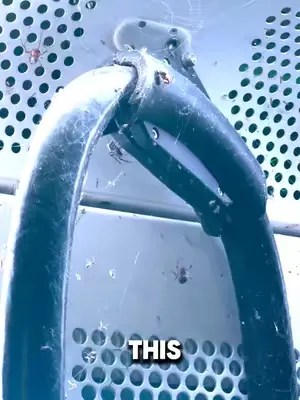 Would you?🕷️ #360kwcharger #fastcharger #supercharger #teslacharging #hauntedcharger