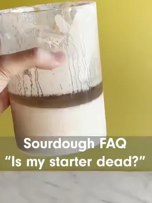 Is your #sourdoustarter dead? Probably not! #sourdough #sourdoughbaking #bakingtips #sourdoughbread #sourdoughtok #sourdoughforbeginners 
