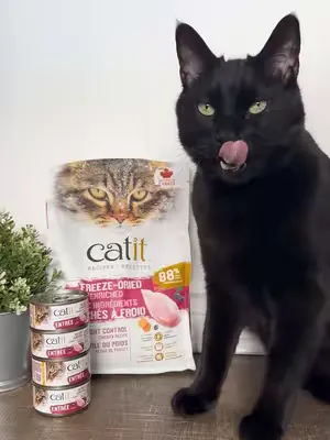 Charlie used to weigh 23 lbs! 🙀   Now he’s staying healthy with NEW Catit Recipes Weight Control — and loving every bite! We’re so happy to be part of his healthy journey! 🍗   🎥: @Charlie & friends 🐾 