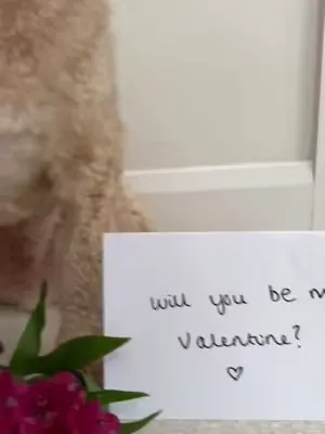 Happy Valentines from Closer Pets 💗 Sharing the love with you this Valentine’s, especially with Arlo’s winks 😉  #valentines #ValentinesDay #dogmom 