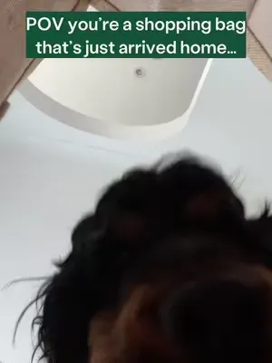 Remind you of anyone?! 👀   We all know a sneaky peeker who's helped themselves to something from the shopping bag... So tell us in the comments: what's your dog guilty of grabbing?! 🤭   (And, don't fo