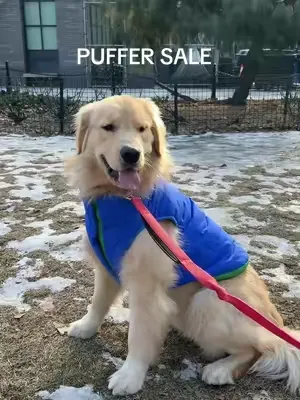 PUFFERS ON SALE NOW :)