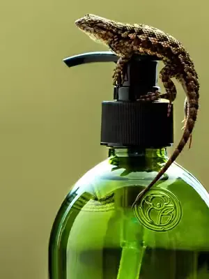 A considered object for everyday use. 💚⁠ ⁠ Our apothecary glass bottle is designed to be filled and refilled with the formulas you reach for most — hand wash and dish soap — within easy reach. Made fr