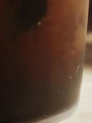 Something chewy is coming to d’Annam. Stay tuned. 