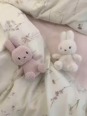 Miffy all day everyday 🐰 ⭐️