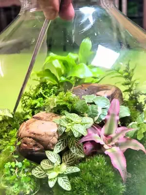 Is this poison?