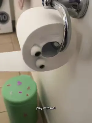 finally some attention #WhoGivesACrap #ToiletPaper #NakedRoll