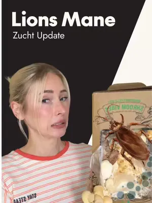 Lions Mane Update 🫣 #lionsmane #pilzzucht #fail #anbauenundernten #vegan