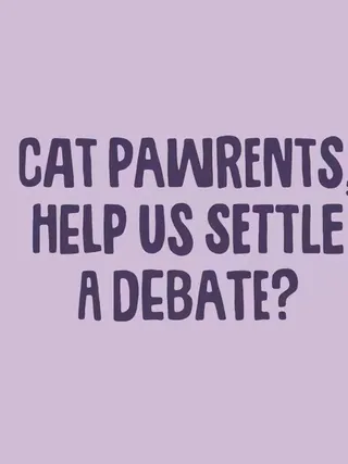 We want to know what you think though…are cats on the counter inevitable when you have a cat, or should you politely dissuade them? Tell us your take… #scrumbles #cats #catlife #kitties #catlover 
