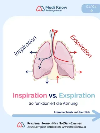 Welche physiologischen Mechanismen ermöglichen die passive Exspiration? 💬 Schreib die Antwort in die Kommentare. 🎯 Notfallmedizin meistern mit System. 🤌 Entdecke unsere Skripte und Lernkarten zur Notf