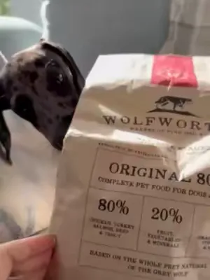 💩 Does your pup struggle with constant tummy troubles? If you're dealing with runny poos, upset stomachs, and messy walks—Wolfworthy's 80/20 recipe could be the answer. Our 80/20 formula is gentle, pa