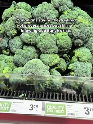 Thousands of households already switched to rescued produce and cut their grocery bills in half. Sign up for Odd Bunch Canada