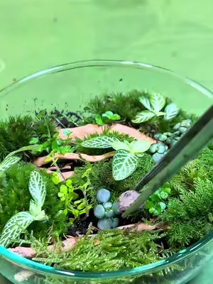 Bioactive bug biorb 