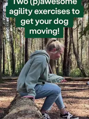 Missing Crufts? Us too! So, here are some Crufts-inspired activities you can do with your dog at home, demonstrated by the lovely, Ola and Copper! 😍   These are great for encouraging movement *and* me