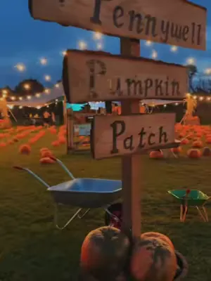 By day, its a pumpkin patch, but by night, Pennywell farm transforms into an autumnal wonderland! 🍂🍁🏮💡🎃 Whether you come along in the day for our Pumpkin Festival or at night for our new Pumpkin Night