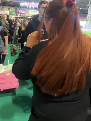 We are at Crufts! #crufts #Crufts #crufts2023 #cruftsdogs #crufts2022 #crufts2024 #crufts2020 #cruftsagility #cruftsobedience #cruftsflyball #dog #Dog #dogsoftiktok #dogs #doglover #dogsofttiktok #dog