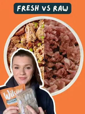 Fresh food. All the goodness, none of the hassle 🥶 #freshdogfood #rawdogfood
