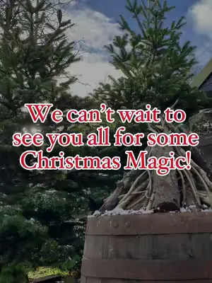 Our 2024 Christmas Experience set up video! 🎄🎅🏼 #pennywellfarm #christmas #christmastiktok #wintervibes 