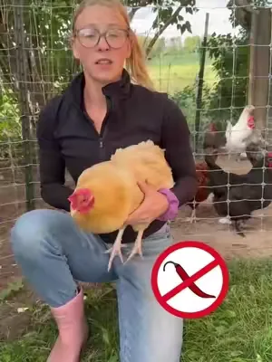 Tu parvada merece algo mejor!