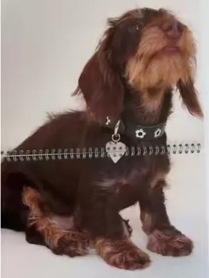 bye 2025, hello 2026 🎉